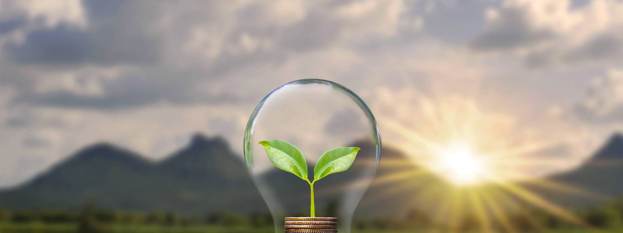 Formation et transition écologique : comment adapter vos contenus pédagogiques ? Riedisheim