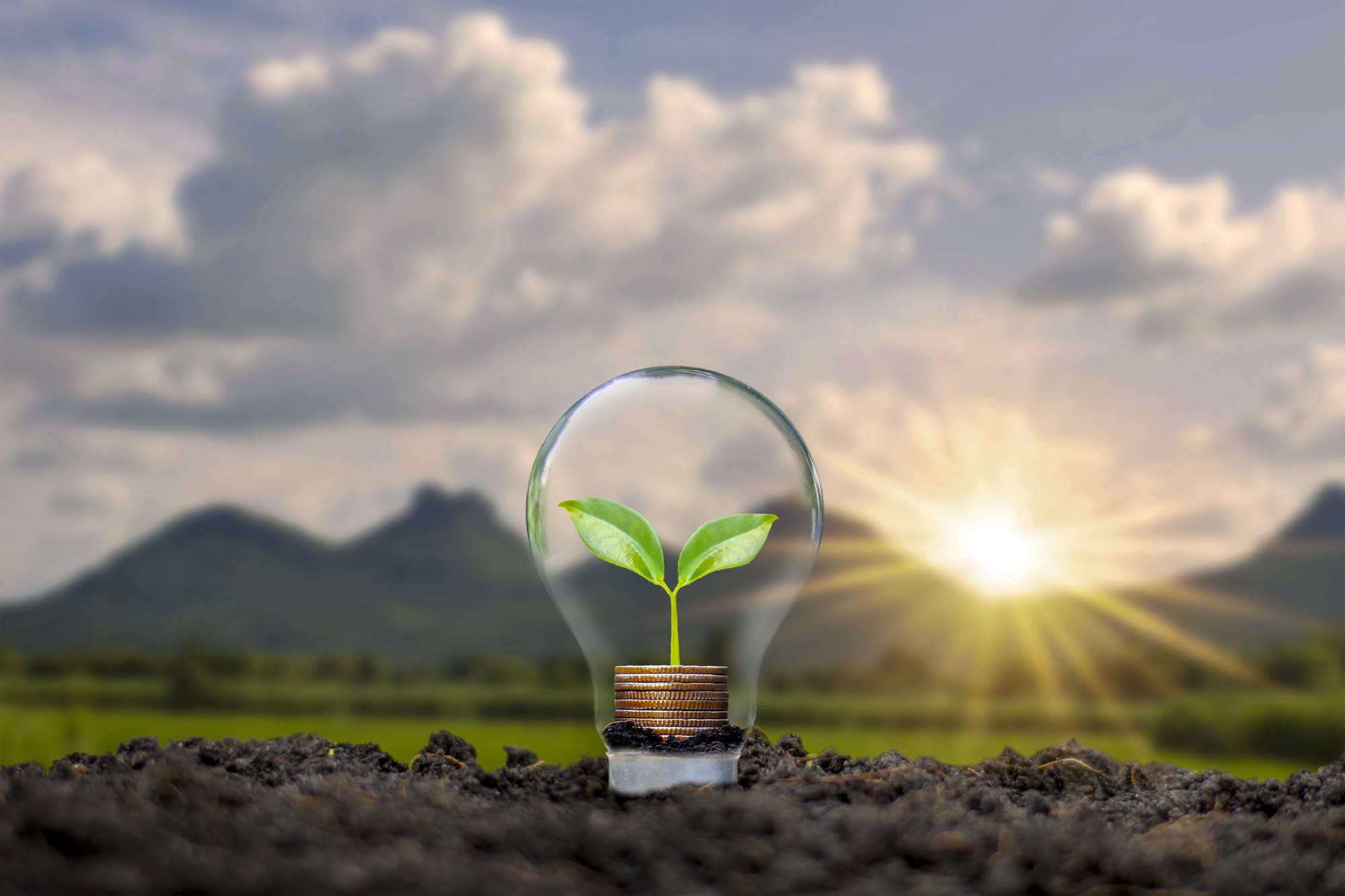 Formation et transition écologique : comment adapter vos contenus pédagogiques ? Riedisheim